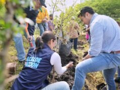Realizan autoridades capitalinas jornada “Reverdecer Querétaro”