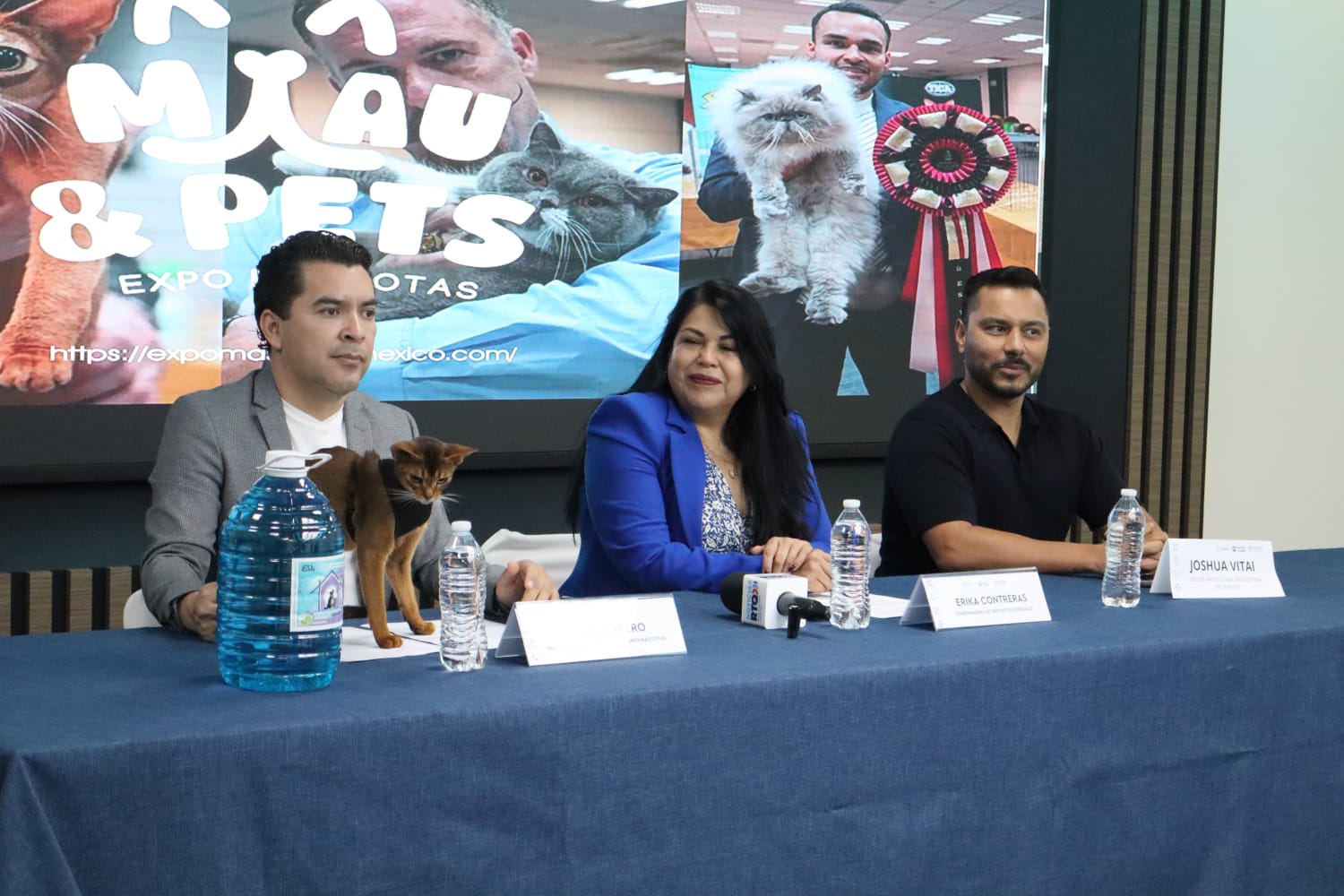 Imagen de WhatsApp 2025-07-17 a las 09.32.02_ce9efdef