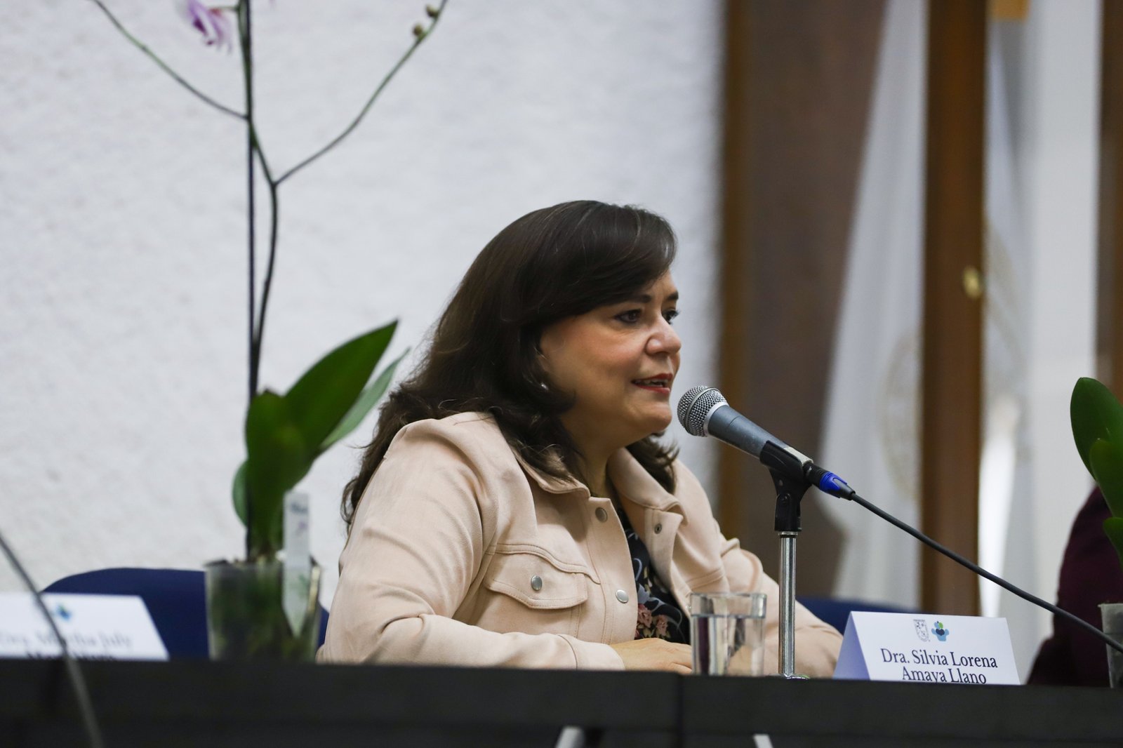 Imagen de WhatsApp 2025-08-26 a las 13.50.07_9eda7bd7