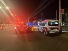 Caen 33 al torito por conducir bajo los efectos del alcohol