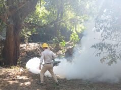 Refuerza Secretaría de Salud acciones de vigilancia epidemiológica contra el dengue
