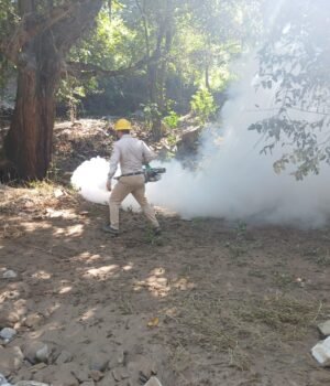 Refuerza Secretaría de Salud acciones de vigilancia epidemiológica contra el dengue