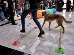 Clausuran Primer Taller de Entrenamiento de Perros