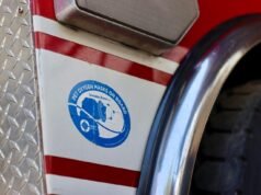 Bomberos Querétaro: Salvando vidas, ¡porque las mascotas también son familia!