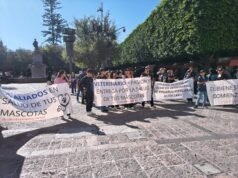 Denuncian veterinarios queretanos vulnerabilidad por dueños de mascotas