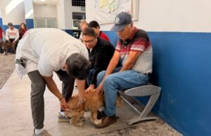 Llega Municipio de Querétaro Feria de Bienestar Animal a Cayetano Rubio