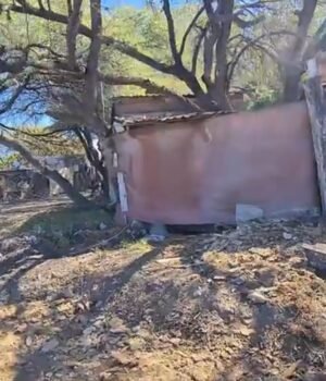 Por obras del tren reubicarán a 20 familias de cartoandia en San Juan del Río