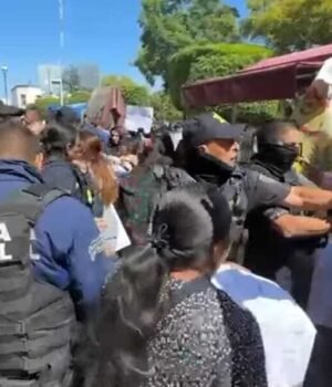 Confirma DDHQ observaciones sobre actuar de inspectores en retiro de artesanos