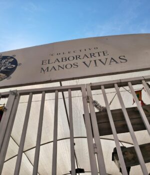 Planea municipio de Querétaro quitar espacio de colectivo “Manos Vivas” a artesanos indígenas
