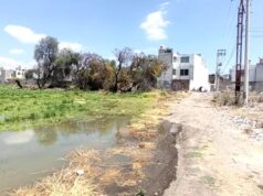 Denuncian afectaciones a la salud por malos olores en canal de aguas negras en la colonia La Joya