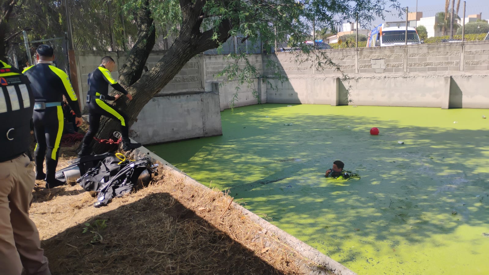 WhatsApp Image 2026-04-13 at 1.13.43 PM