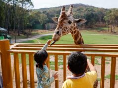 Realizan actividades recreativas para preescolares del DIF capitalino