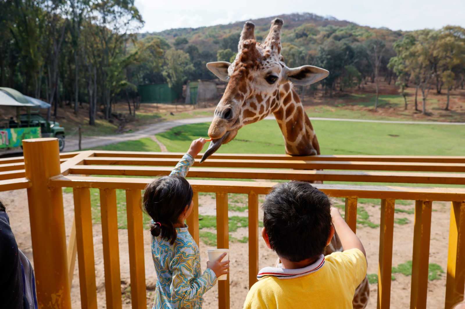 WhatsApp Image 2026-04-15 at 2.29.52 PM