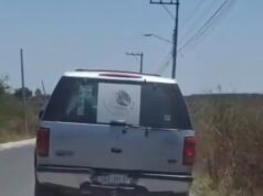 Afirma Felifer que no permitirán violencia contra animales en la capital