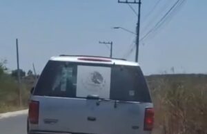 Afirma Felifer que no permitirán violencia contra animales en la capital