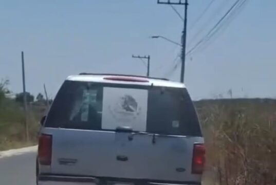 Afirma Felifer que no permitirán violencia contra animales en la capital