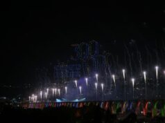 Sin reportes por animales afectados por pirotecnia