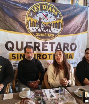 Presentarán a cabildo queretano Ley Diana, para prohibir la pirotecnia en eventos públicos