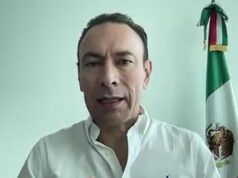 Si vuelve con observaciones al Congreso, la Ley Trans necesitaría mayoría calificada: Arturo Maximiliano
