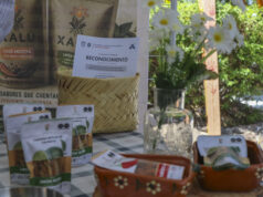 Presenta Química UAQ productos alimenticios estudiantiles