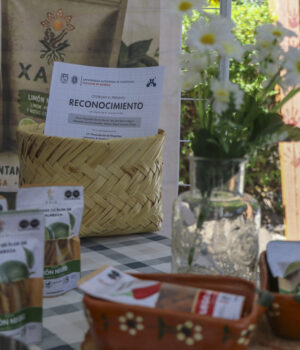 Presenta Química UAQ productos alimenticios estudiantiles