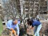 Invita Felifer Macías a participar en las Jornadas de Reforestación 2026
