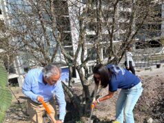 Invita Felifer Macías a participar en las Jornadas de Reforestación 2026