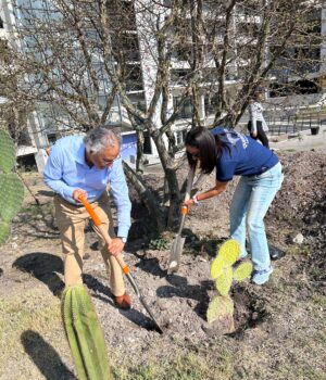 Invita Felifer Macías a participar en las Jornadas de Reforestación 2026