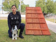 Más de 100 familias participan en Curso Básico de Adiestramiento Canino de la SSPM Corregidora