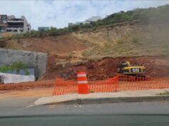 Sancionan a dueño de predio por tala de árboles en Cerro Colorado