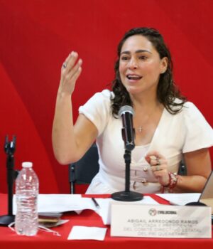 Propone PRI regular y aplicar leyes sobre carretera 57