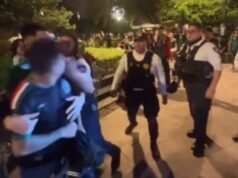 Suspenden a elemento que golpeó a aficionado