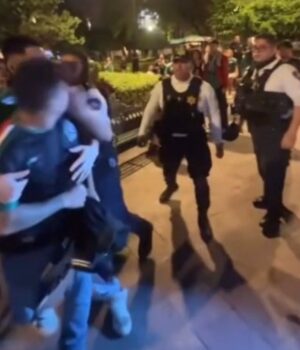 Suspenden a elemento que golpeó a aficionado