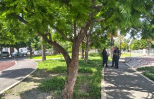 Afecta placa de muérdaco a 70% de árboles de la Alameda Hidalgo