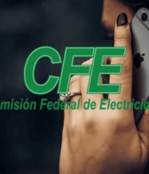 “No somos call center de la CFE”, Gudiño