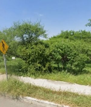 Descartan que predios a subastar estén en áreas naturales protegidas