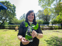 Reintegra UAQ vegetación en sus campus