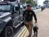 Más de mil 900 personas detenidas por la SSPMQ en el mes de julio