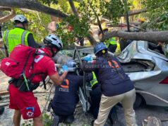 Confirma Protección civil fallecimiento de una persona por caída de árbol de la Alameda Hidalgo