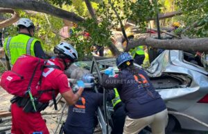 Confirma Protección civil fallecimiento de una persona por caída de árbol de la Alameda Hidalgo