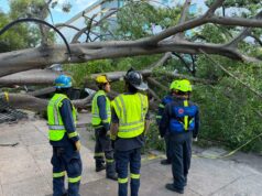 Afirma Felifer que habrá apoyo para familia de conductor fallecido por caída de árbol