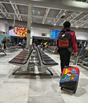 Llegan a Querétaro en promedio 800 extranjeros diariamente